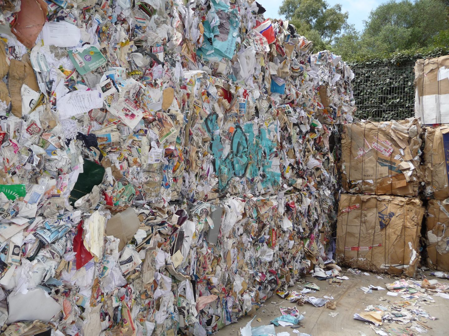 copyright Sylvia Baron